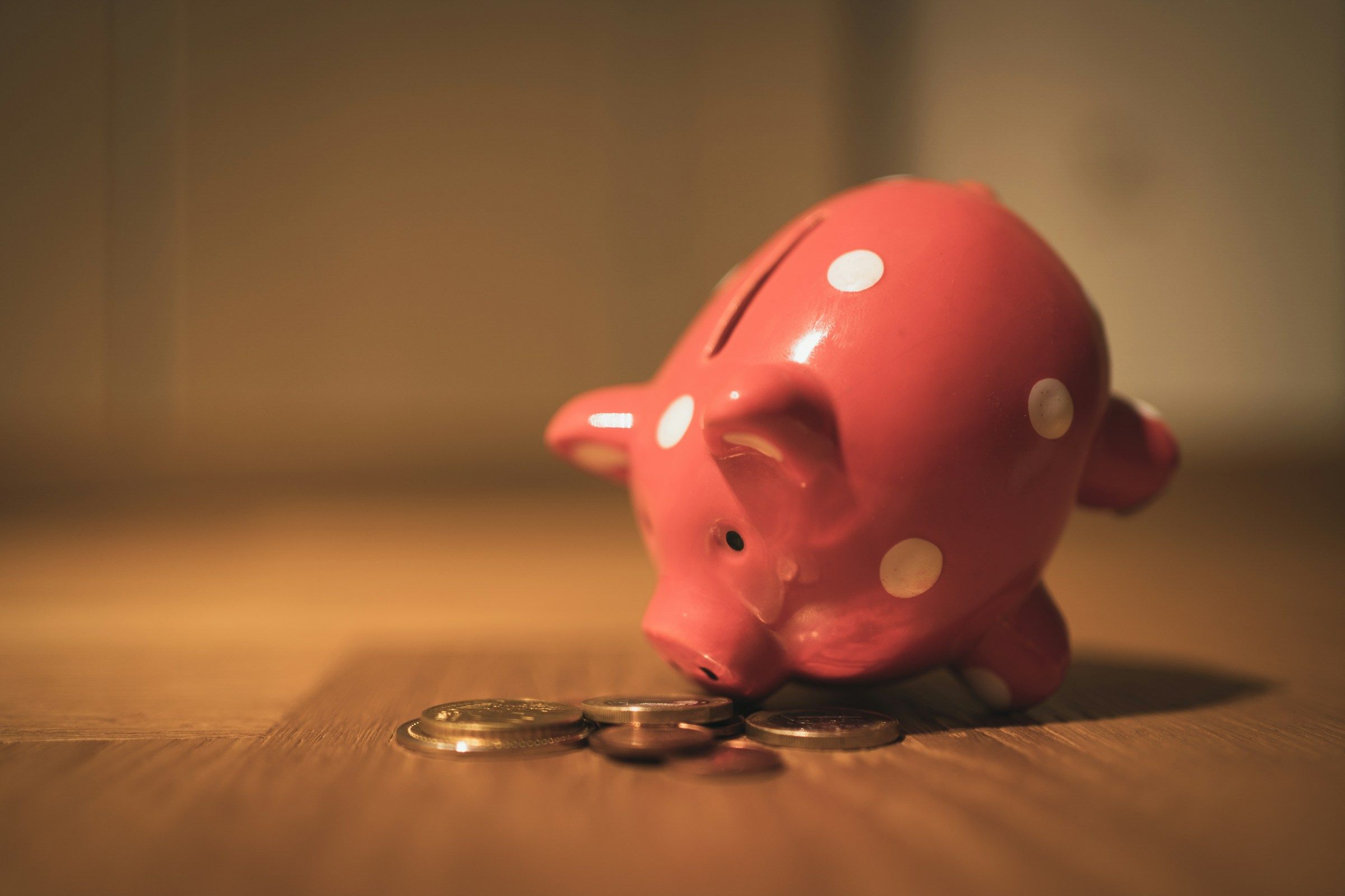 Pink piggy bank receiving a coin
