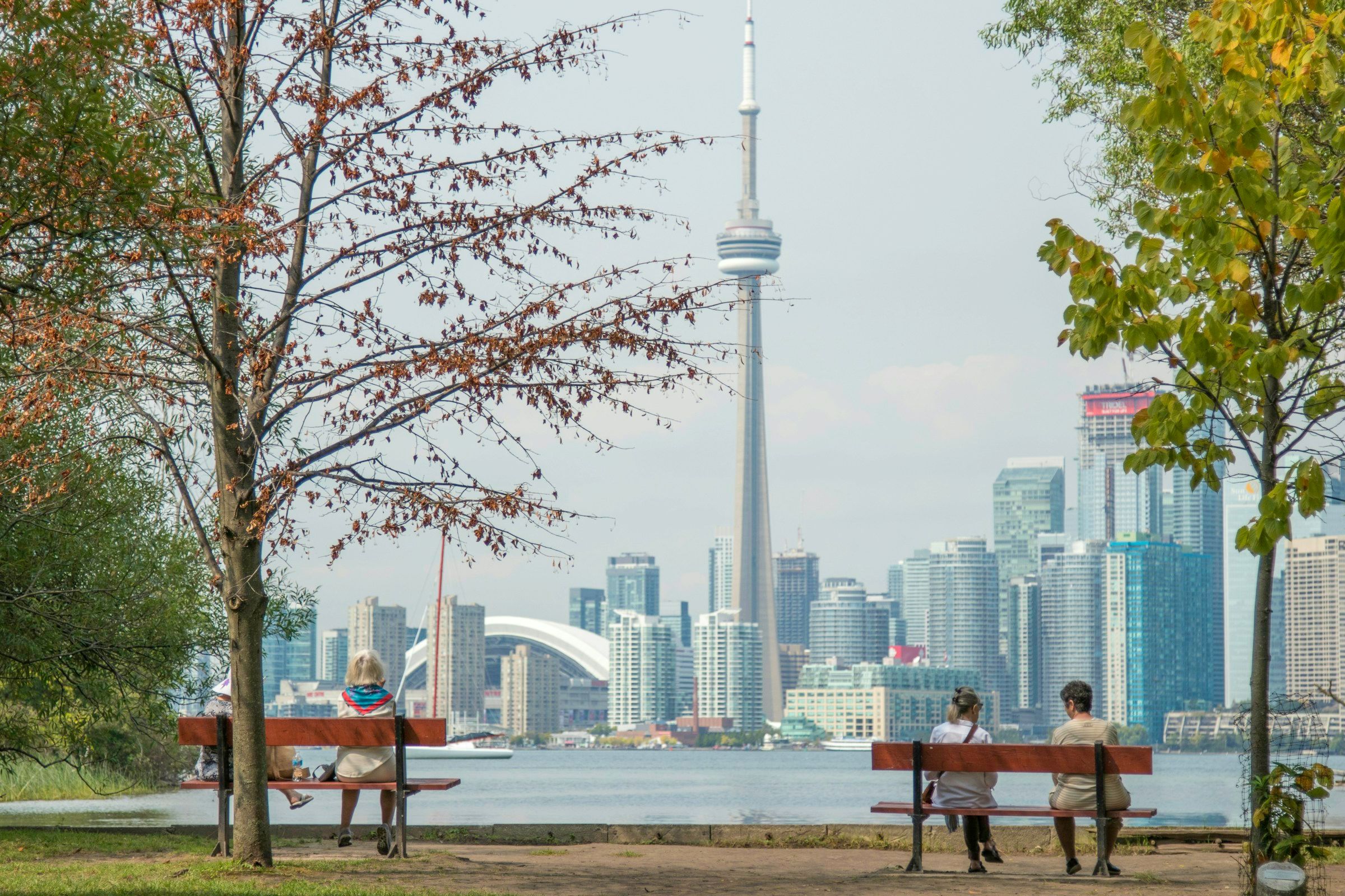 People sitting on park benches with the Toronto skyline across the water