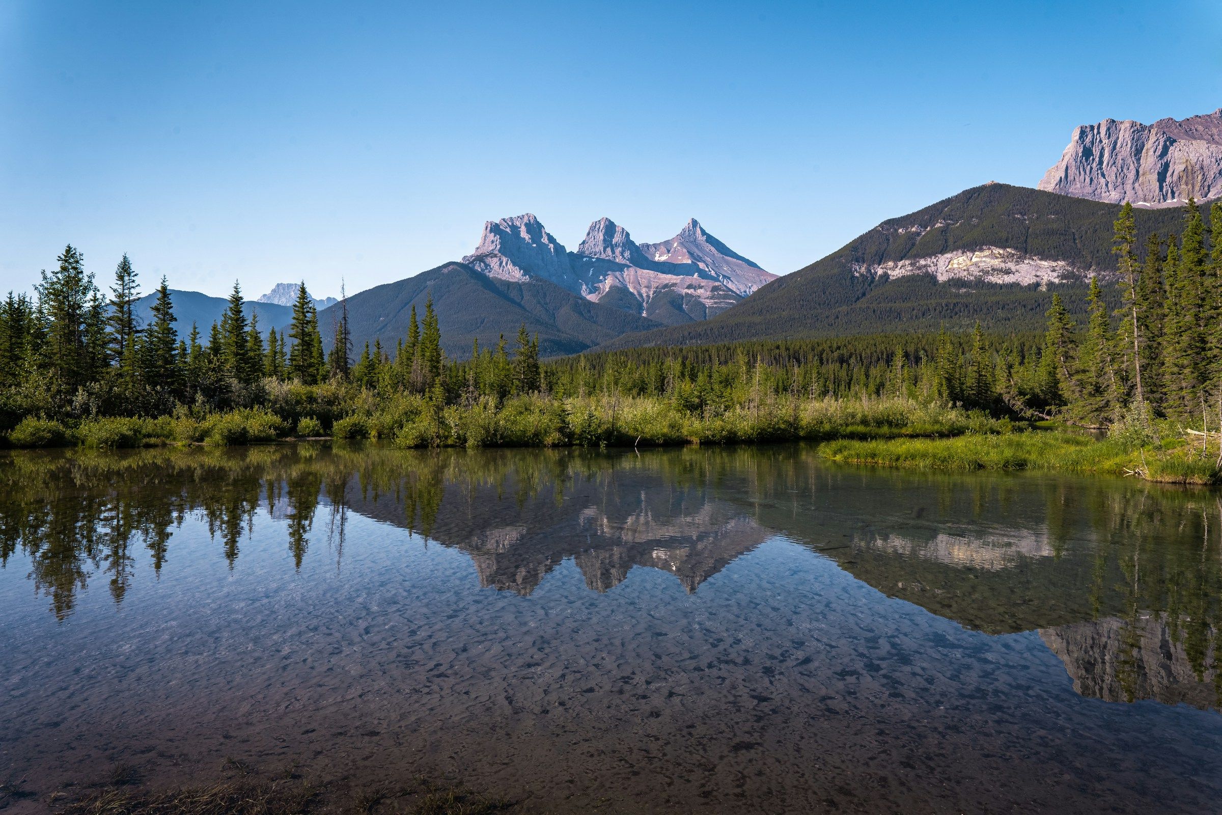 Forested shoreline and jagged peaks reflected in a calm lake in the Alberta Rockies