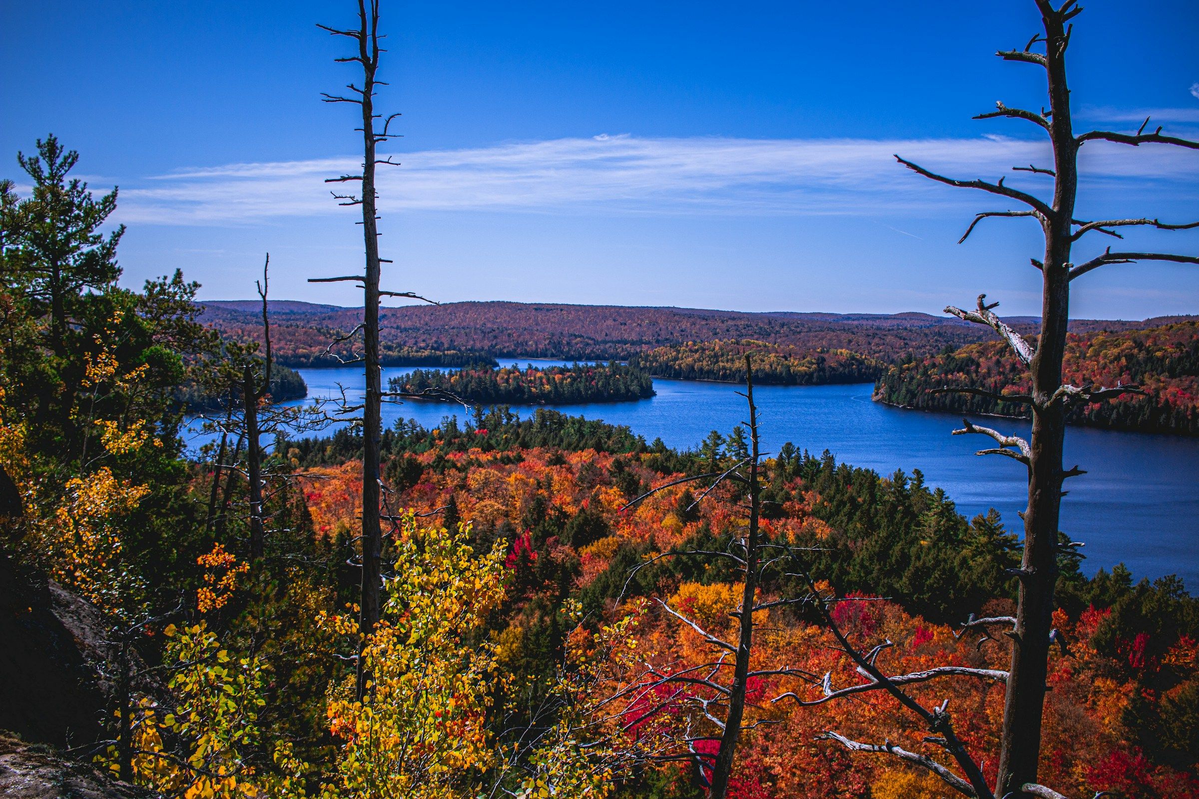 Aerial view over the tree canopy of Algonquin Park in Ontario