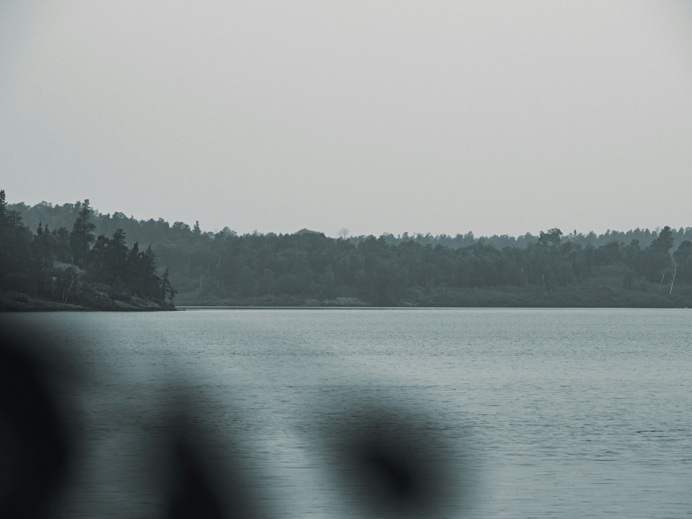 A calm lake with a forested shoreline under a soft misty sky