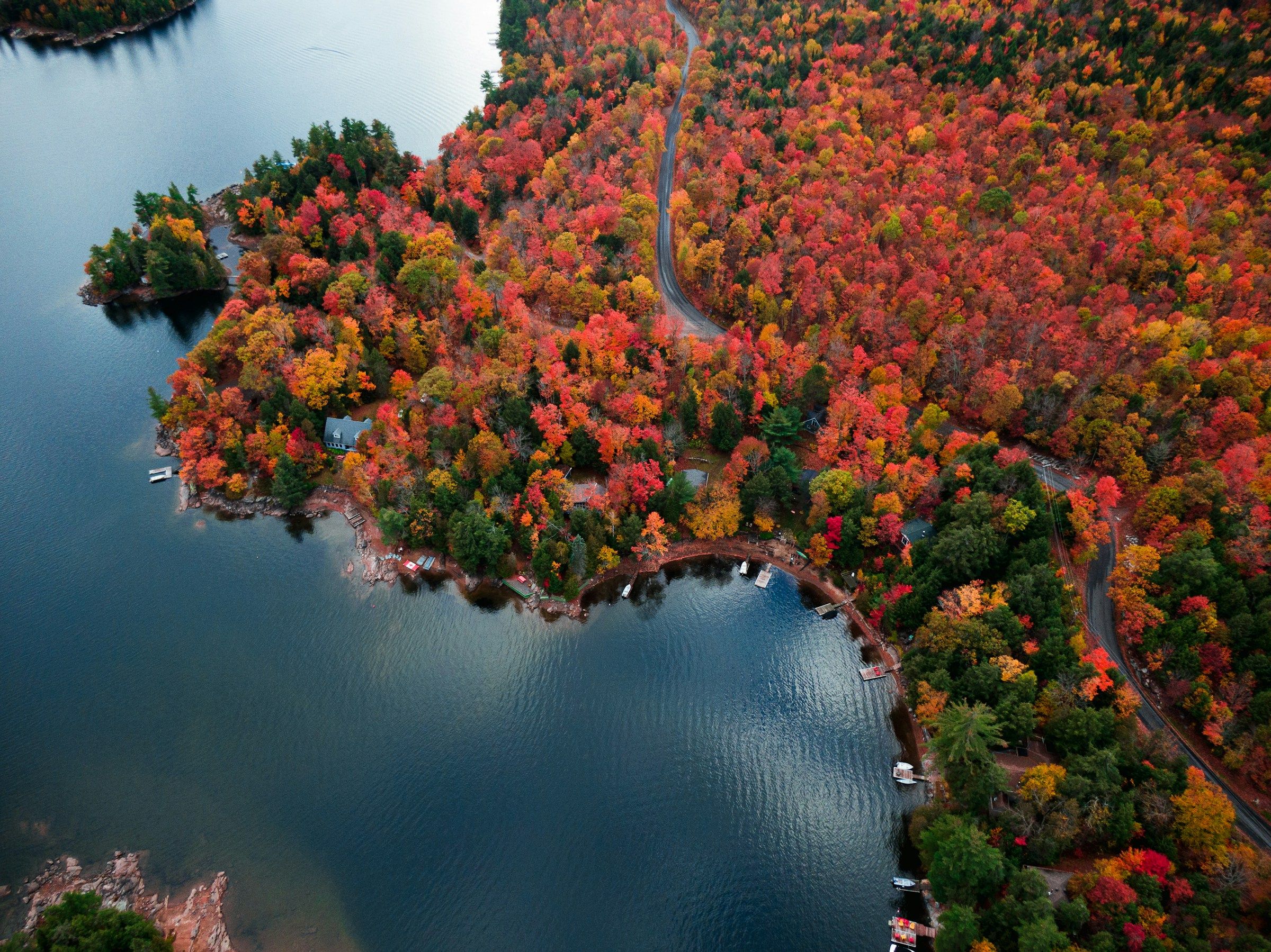 An aerial view of autumn trees beside a river in northern Ontario
