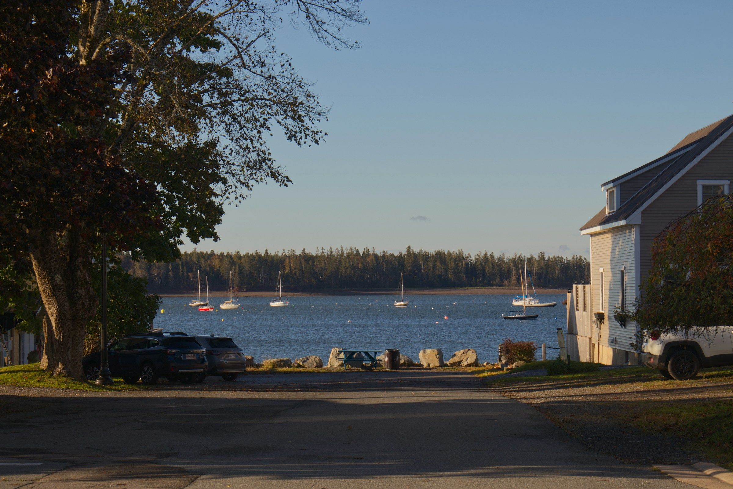 Sailboats anchored in a calm bay with a wooded shoreline behind them