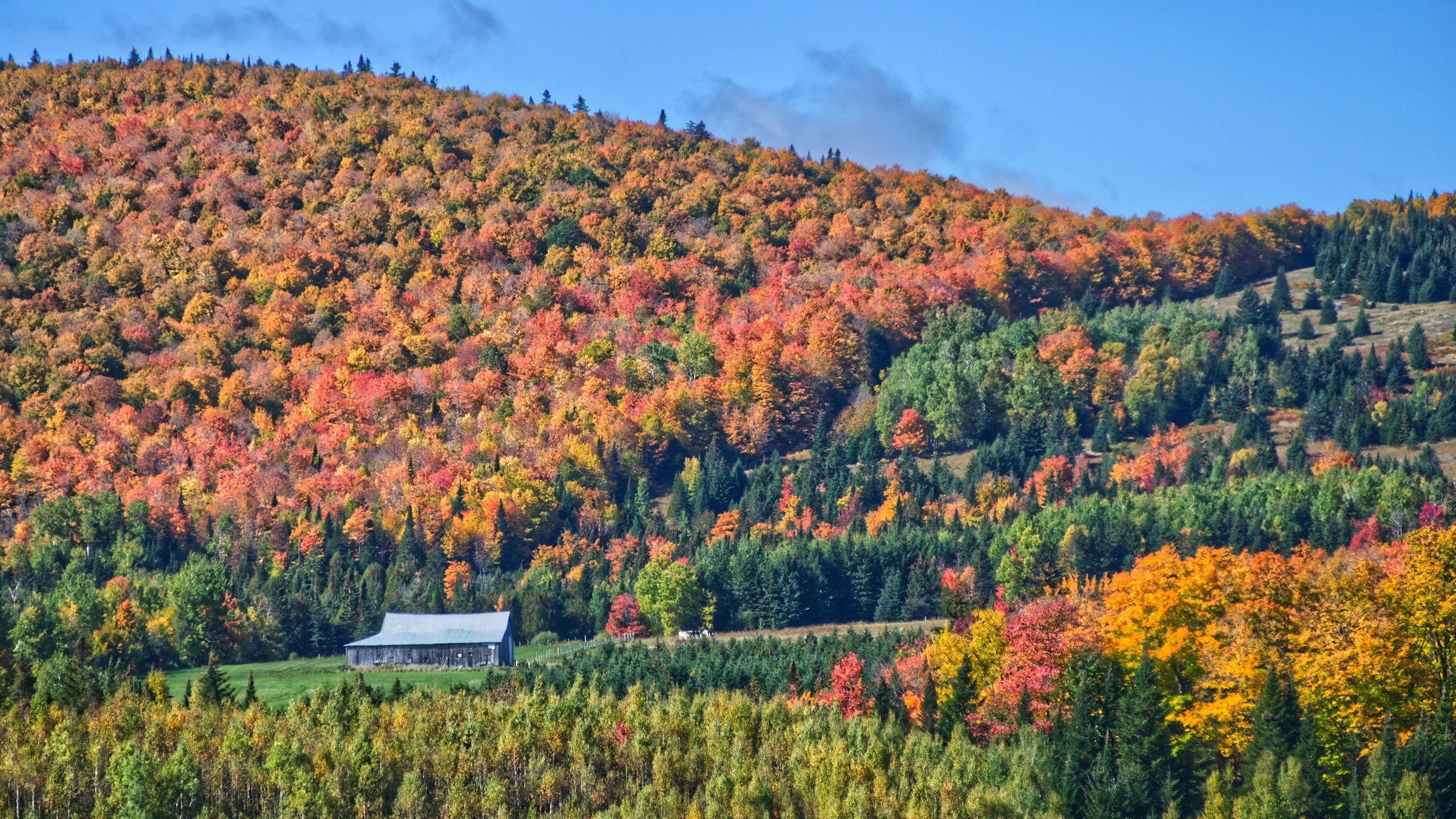 Aerial view of a farm surrounded by trees in full autumn colour in Quebec